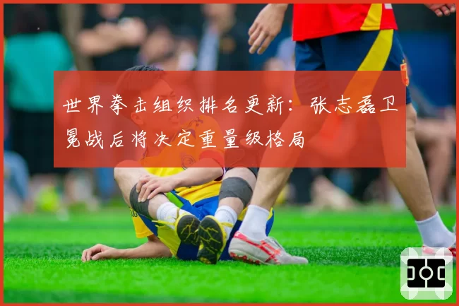 世界拳击组织排名更新：张志磊卫冕战后将决定重量级格局