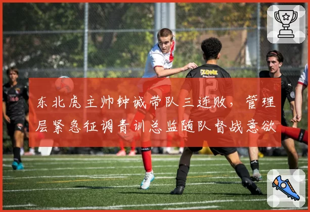 东北虎主帅钟诚带队三连败，管理层紧急征调青训总监随队督战意欲何为？