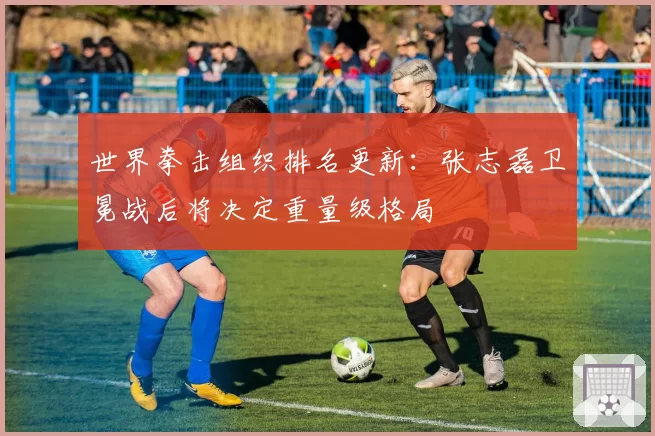 世界拳击组织排名更新：张志磊卫冕战后将决定重量级格局